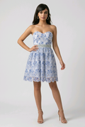 Baby Blue Lace Sweetheart Strapless Skater Mini Dress